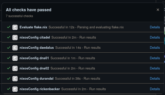 Screenshot of passed CI checks on GitHub Repository